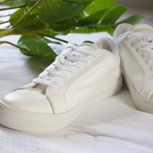 BRAND NEW Steve Madden Ruella White Sneaker 7.5
